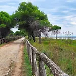 With Garden Near The *