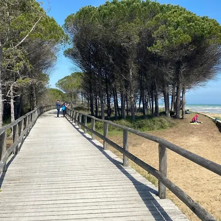 With Garden Near The * Bibione